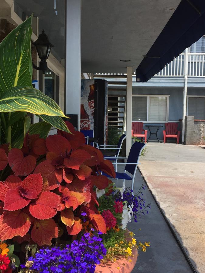 The Shores Inn Ventura Extérieur photo